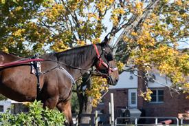 LR-WRF 10182025 Retreat-6402